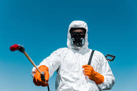 Trusted Bernardsville, NJ Pest control Experts